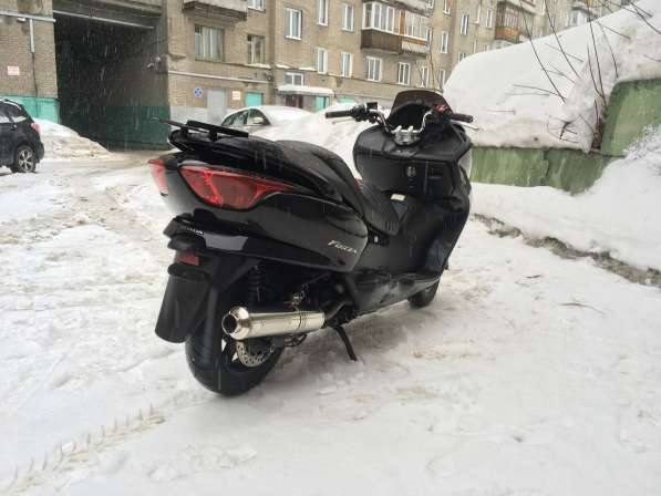 Продажа HONDA FORZA 250 в Новосибирске фото 4