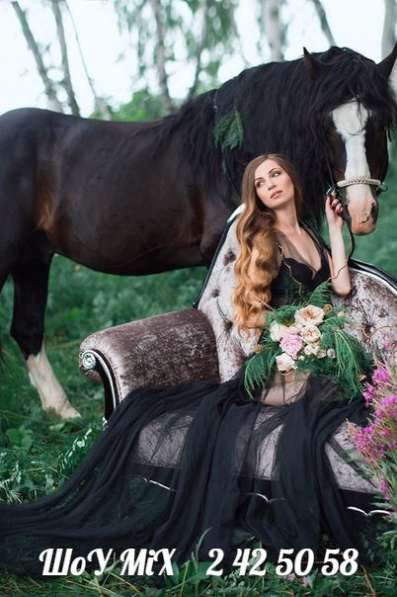 Фотосессия с лошадьми! в Красноярске
