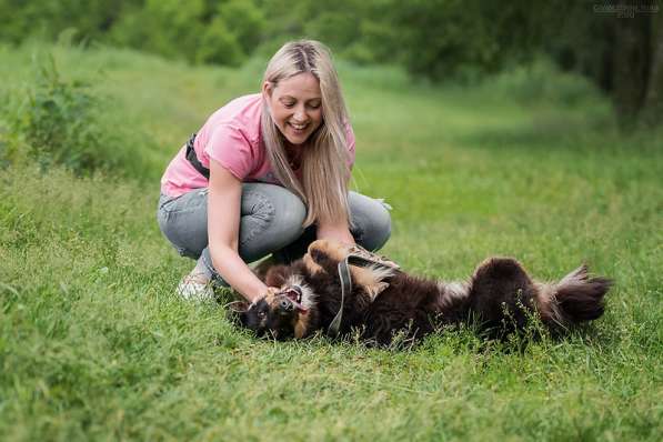Чудо-собачка Фиби ищет семью в Москве фото 23