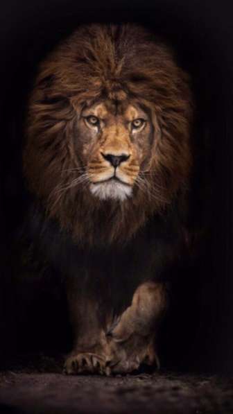 Продам айфон 6 на 16гб