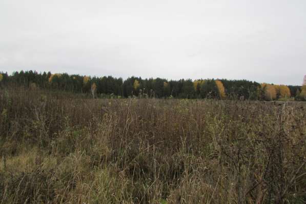 Продам земельный участок в Каменске-Уральском фото 3