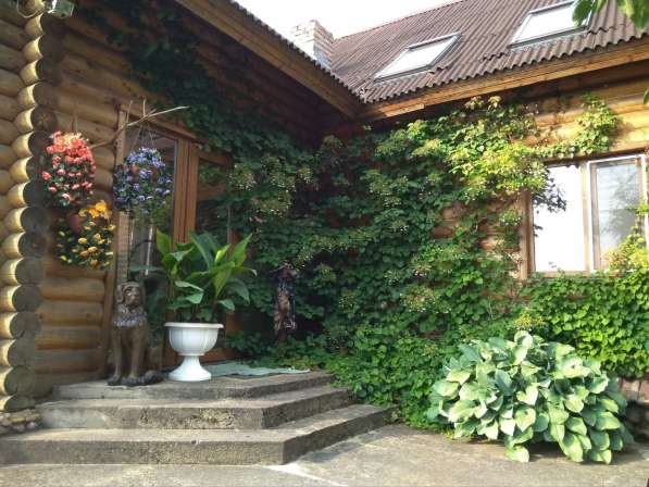 Агроусадьба под Минском на ЧМ в фото 10