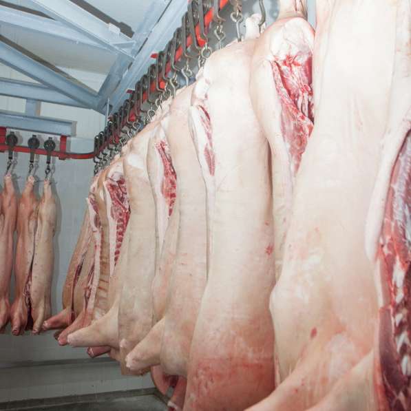 Производство мяса в ассортименте, продажа оптом в Пушкино фото 4