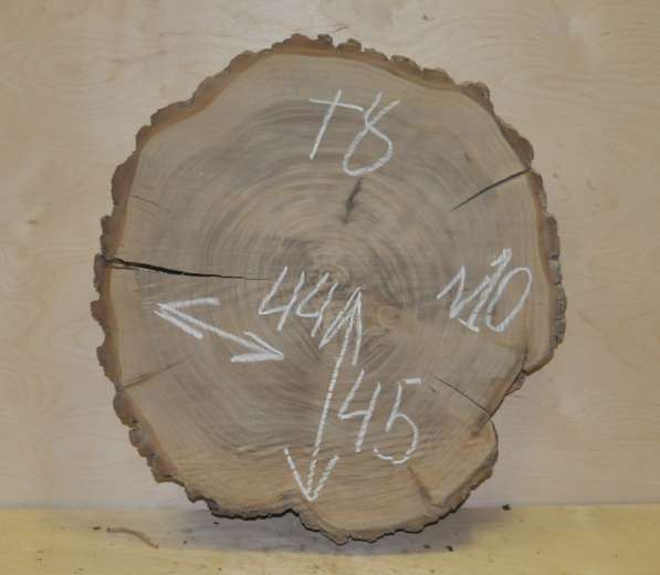 Поперечные спилы карагач в Москве