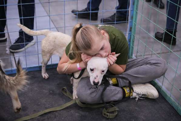 Маленькая умная собачка ищет дом в Санкт-Петербурге фото 18