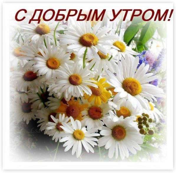 Сдам однокомнатную квартиру в Краснодаре фото 14