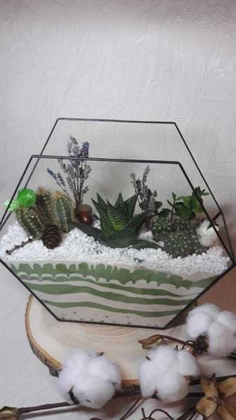 Флорариум с живыми суккулентами в Зеленограде фото 3