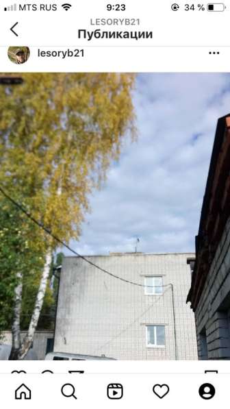 Спил деревьев в Москве фото 9