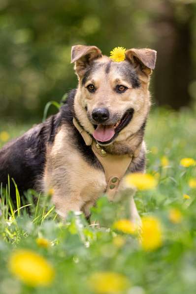 Барри ищет своего человека! в Москве фото 3