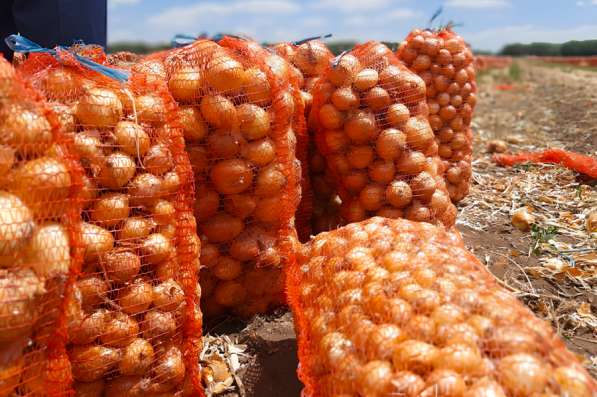 Доставка овощей