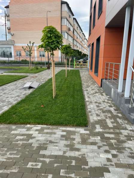 Ландшафтный дизайн. Озеленение в Краснодаре фото 9