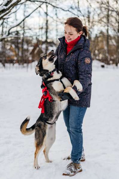 Позитивная собака ищет дом в Москве фото 3