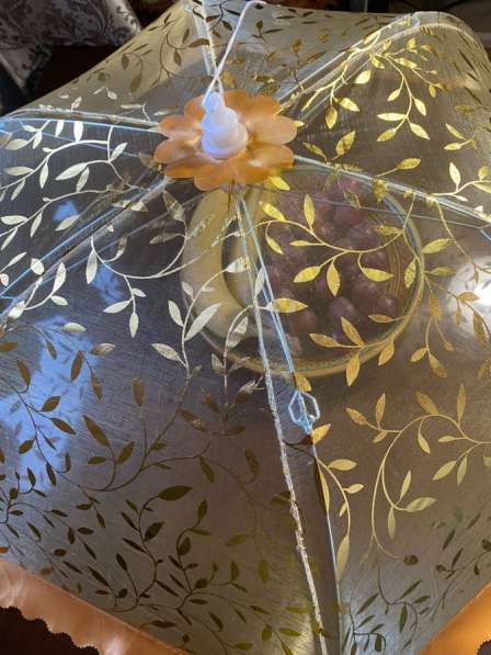 Зонтик от мух в Москве фото 3