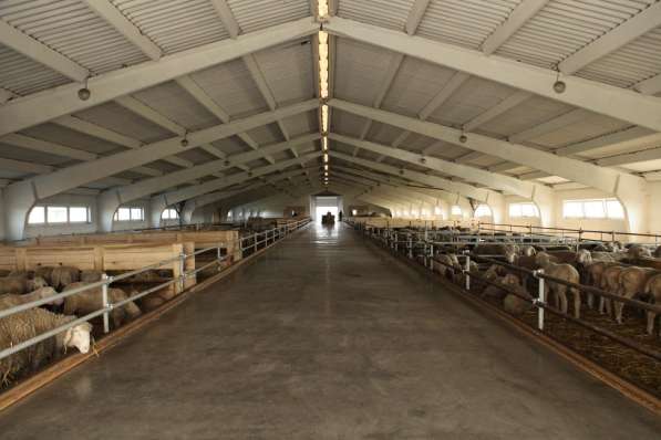 Организация изготовит фермы крс, птицы, овец в Пензе фото 7