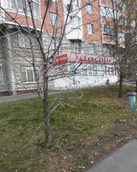 Сдается отличная квартира на Братиславской в Москве фото 5