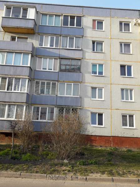 ПРОДАМ ХОРОШУЮ ТРЕШКУ НЕДОРОГО! в Калининграде фото 8