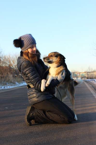 Собака в добрые руки, 2,5 года в Москве