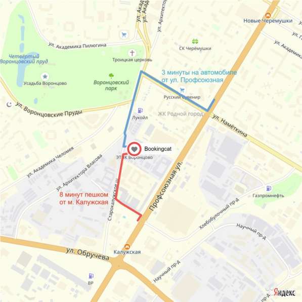 Гостиница для кошек в Москве фото 11