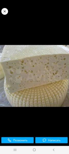 Продаю сыр брынза 100%натуральный продукт, из парного молока в Самаре