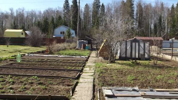 Продам дачу на Свинокомплексе в Перми фото 12