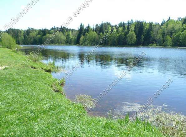 realty_mapper3.plot_in_locationПлощадь 9.00 сот.Есть Электричество, Газ. в Москве фото 6