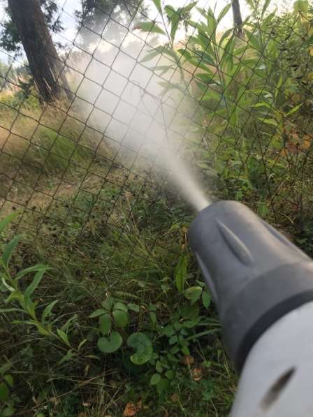 Уничтожение насекомых тараканы/клопы/осы/крысы/мыши/кроты в Москве фото 11