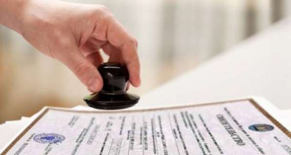 Регистрация ООО, Декларации