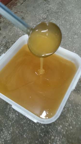Мёд, из глубин Алтайского края!
