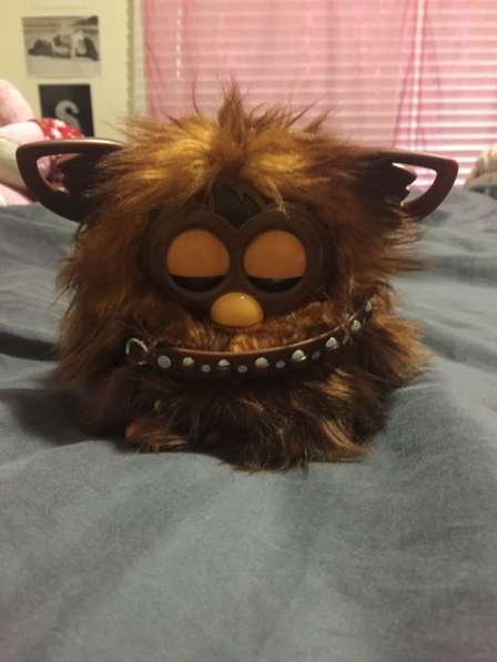 Furby