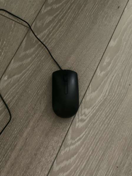 Мышка праведная