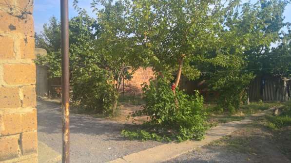 Срочно продам участок в пригороде Еревана в фото 22