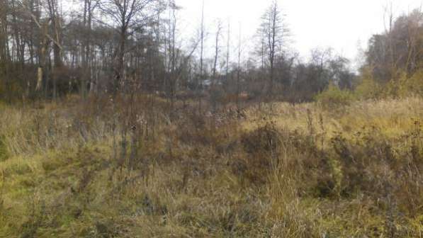 Участок в Ногинске фото 5