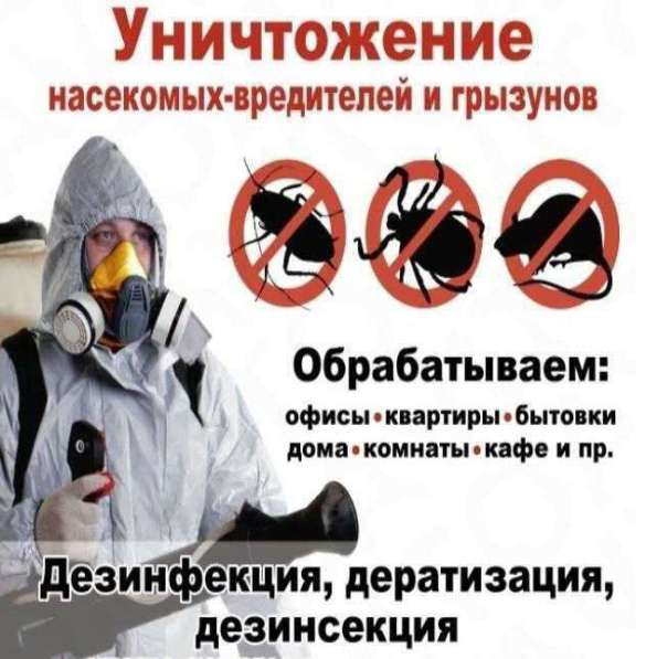 Дезинфекция в Москве фото 5