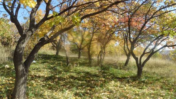 Срочно продается земельный участок в городе Аштарак, Армения в фото 14