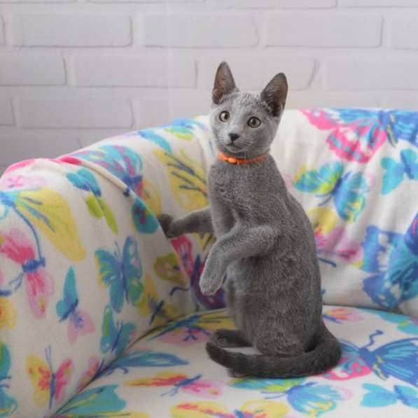 Котята Русская голубая в Тюмени фото 17