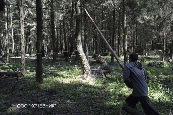 удаление опасных аварийных деревьев - кронирование - санитар в Москве фото 10