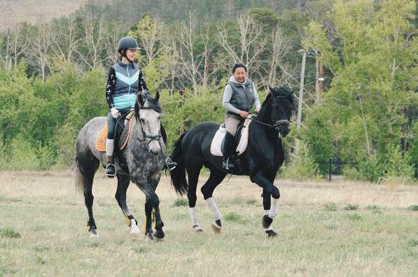 Конный спорт, верховая езда в Улан-Удэ фото 4
