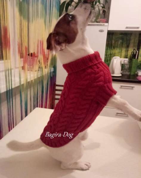 Свитера для собак ручной работы в Москве фото 48