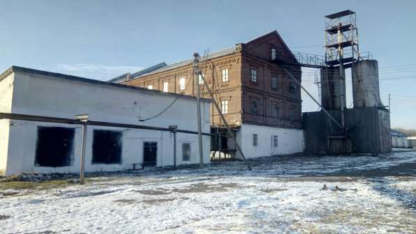 Готовый бизнес - Мукомольный завод продаю в Ульяновске фото 5