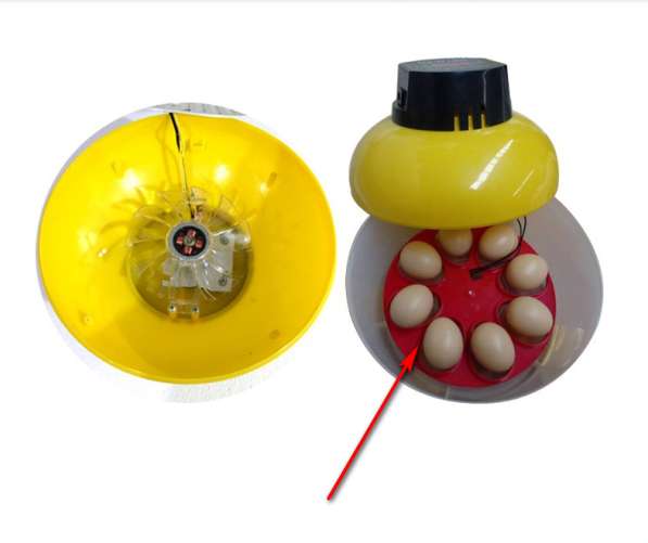 ✔Автоматический инкубатор 8 - 32 яиц с переворот и влажность в Астрахани фото 8