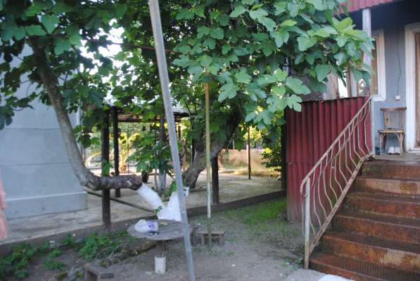 Уютный дом в курортной зоне Поти в фото 3