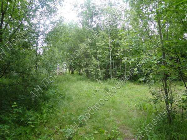 realty_mapper3.plot_in_locationИндивидуальное жилищное ст-во. Площадь 18.00 сот.Есть Газ. в Москве