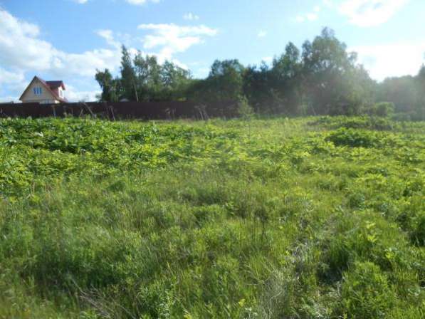 Продается земельный участок 30 соток под ЛПХ в д. Павлищево,Можайский район,100 км от МКАД по Минскому шоссе. в Можайске