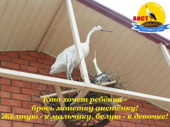 Размещение отдыхающих в Лабытнанги фото 8