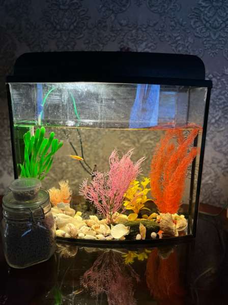 Продам аквариум в Старом Осколе фото 3