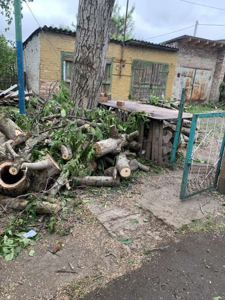 Отдадим дрова бесплатно в Новокубанске