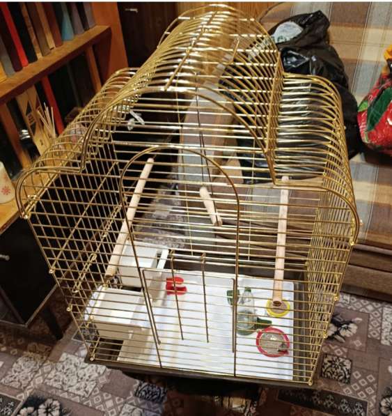 Клетка для средних попугаев в Москве