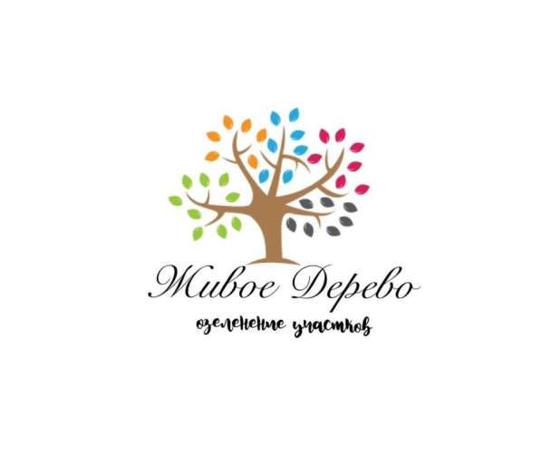 Озеленение: посадка крупномеров с гарантией