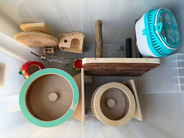 Для джунгарского хомяка