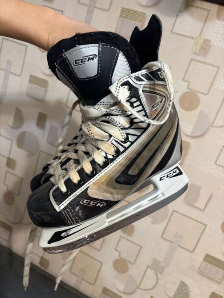 Коньки в Новочебоксарске